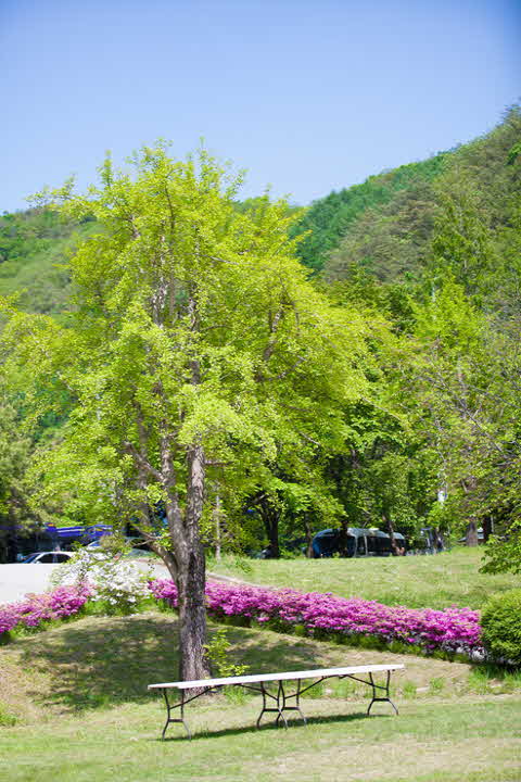 IMG_9801.jpg