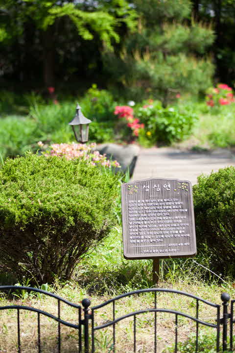 IMG_9809.jpg