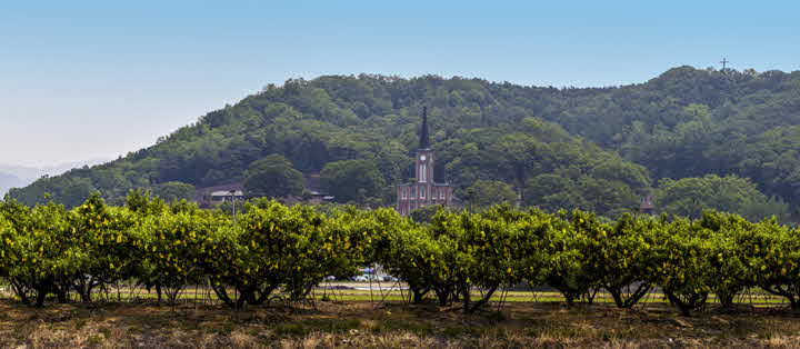 _MG_1849-Pano-341.jpg