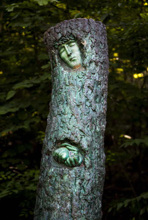 _MG_2568.jpg