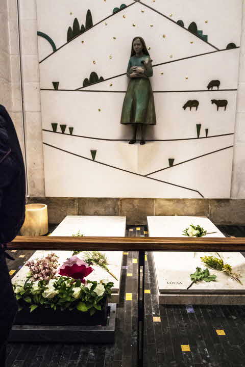 IMG1.jpg