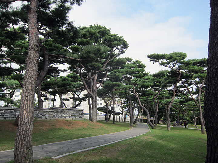 8D_1538309015_S.jpg