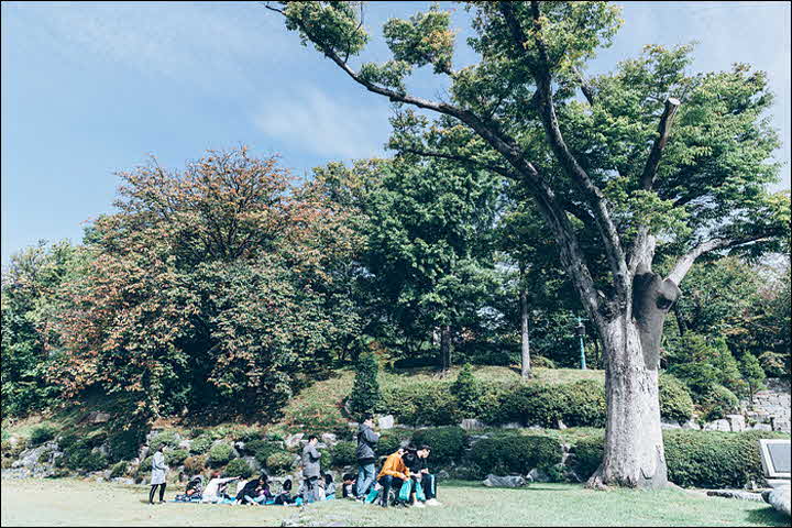 3I_1539868367_A79I6546.jpg