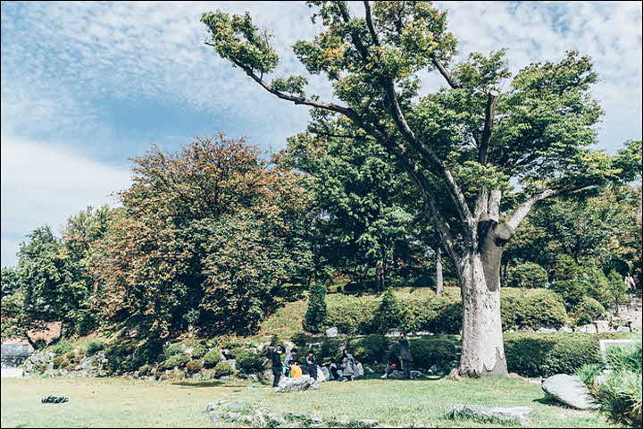 6B_1539946261_A79I6644.jpg