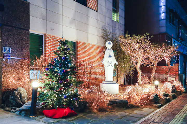 6V_1546653089_IMG_6660.jpg