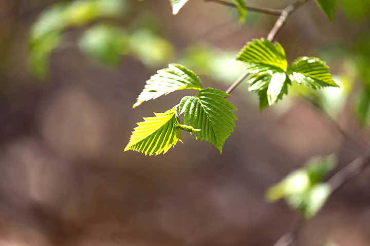6B_1586739142_IMG_7821.jpg