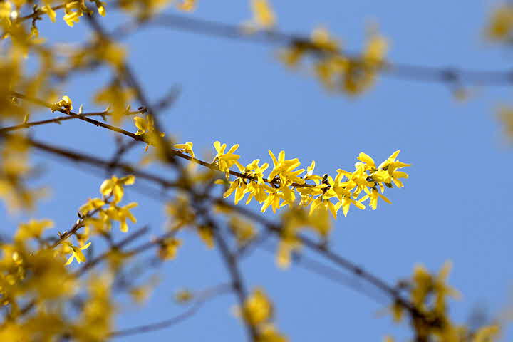 9E_1586739141_IMG_7823.jpg