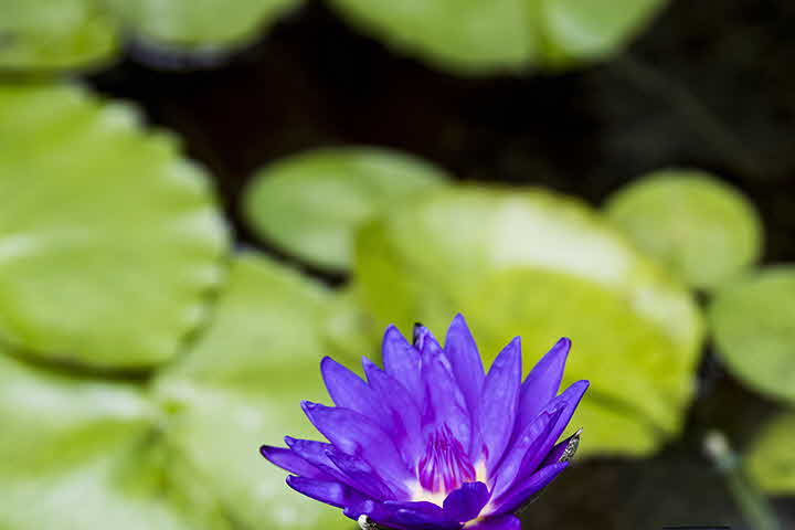 3S_1626402368_1.jpg