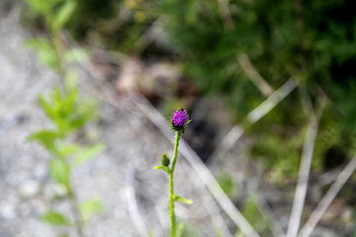 9E_1653046730__MG_7731.JPG