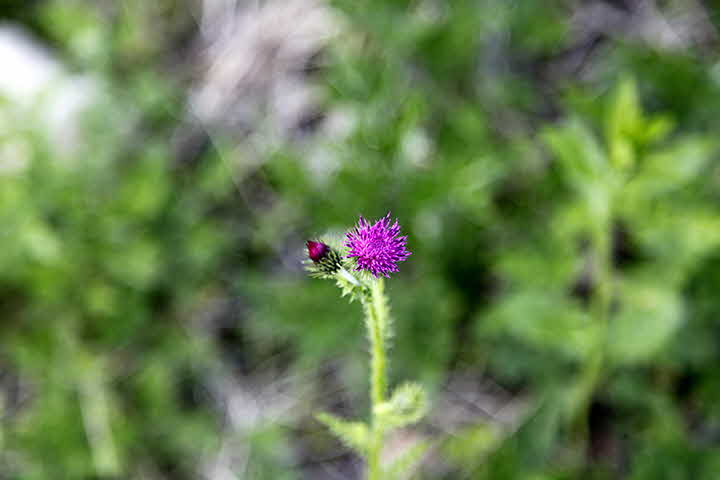 9E_1653046730__MG_7733.JPG
