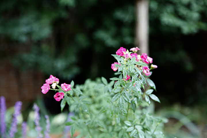 3S_1661842055__MG_8077.JPG