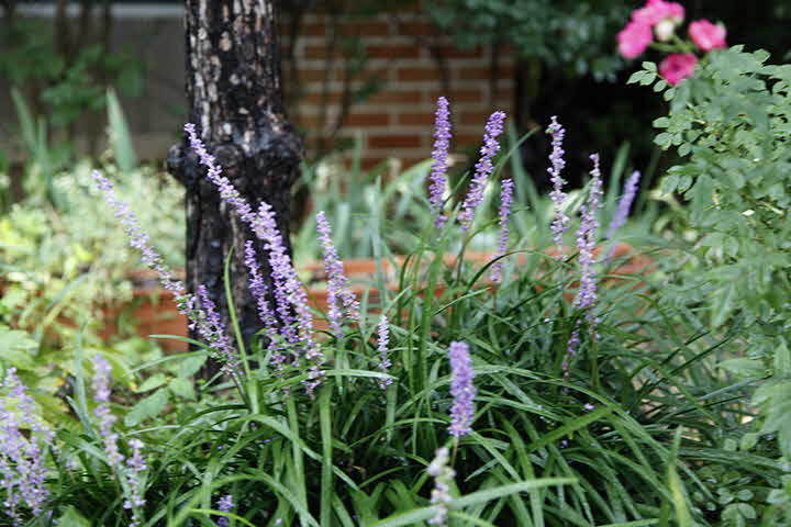 3S_1661842055__MG_8079.JPG