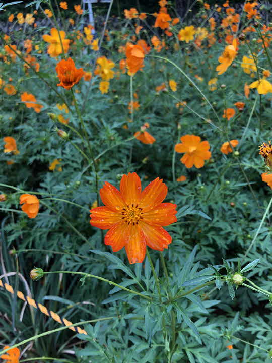 5A_1663376959_IMG_2049.jpg