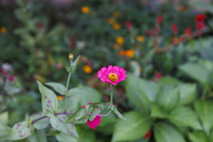 6L_1663544824__E5A1345.jpg