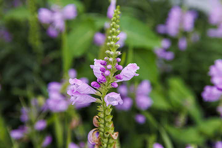 6L_1663544825__E5A1170.jpg