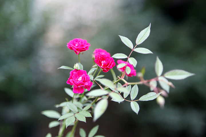 6V_1665916618_13.jpg