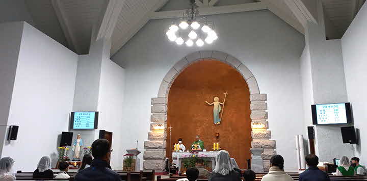 9Y_1667176560_IMG_2361.jpg
