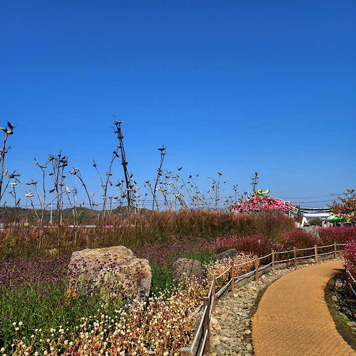 0F_1698567887_55.jpg