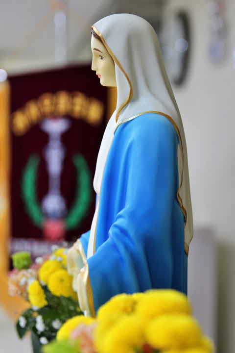 9E_1702389937_ji.jpg