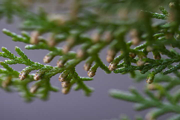 4J_1709190535_G.jpg
