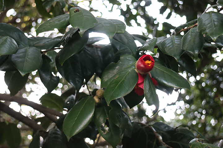 4T_1711277678_b.jpg