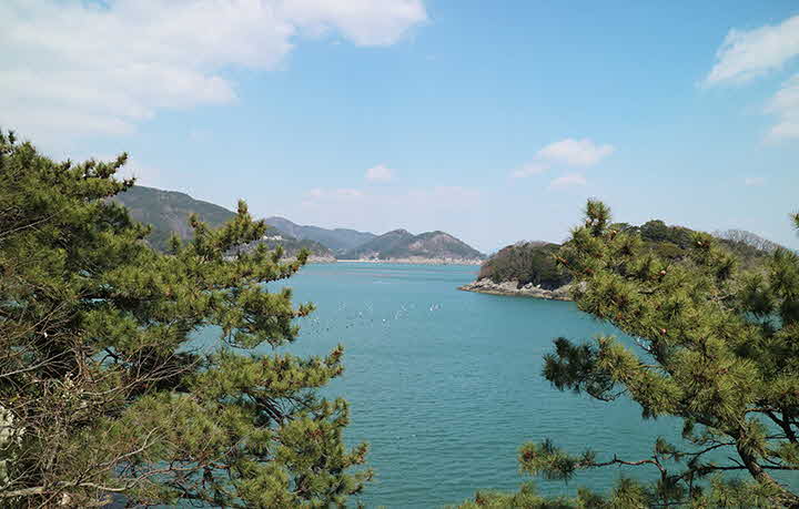 6B_1711277679_z.jpg