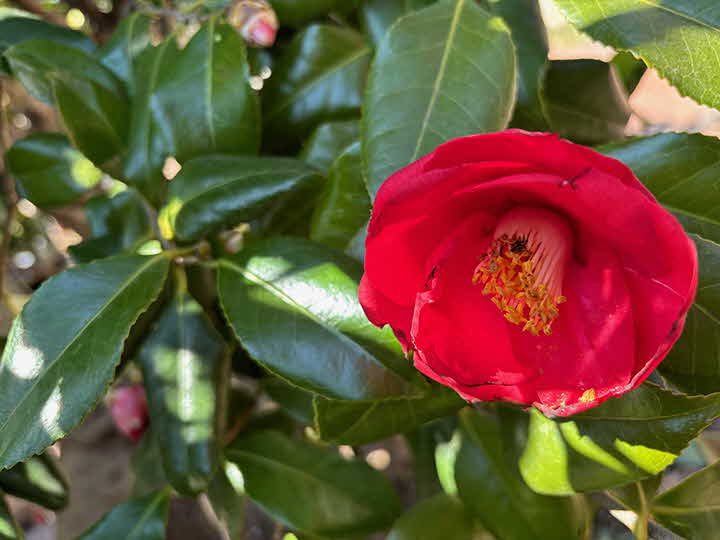 7M_1711278262_5.jpg