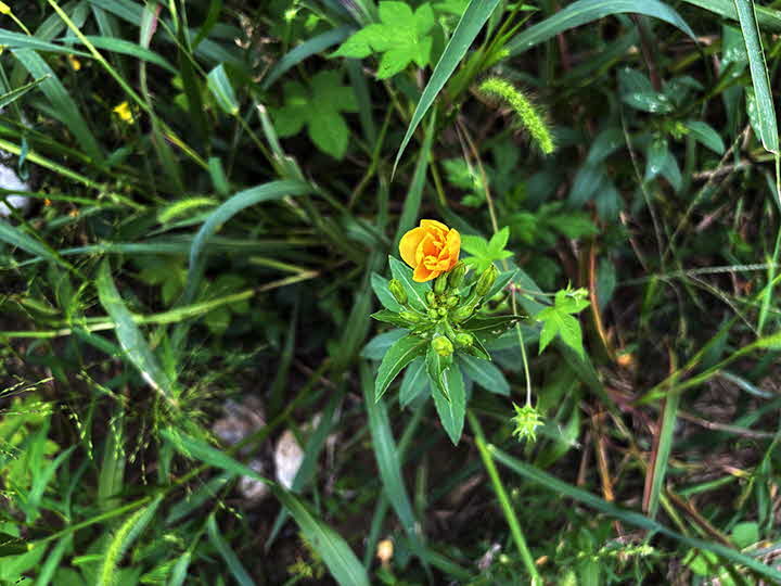 8D_1725970026_IMG_6853.jpg