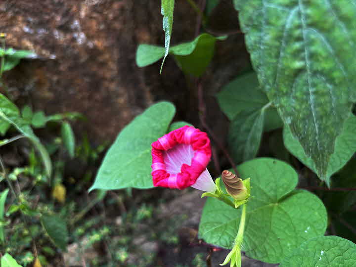 8D_1725970026_IMG_6859.jpg